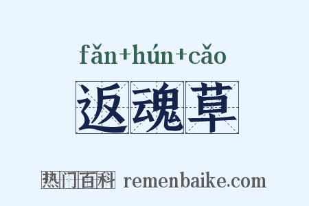 返魂草是什么意思的图片